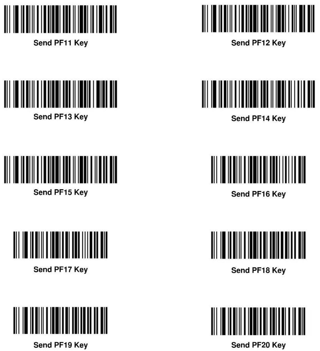 ZEBRA Cyclone M2004 - Send Keypad Characters (continued) - 51