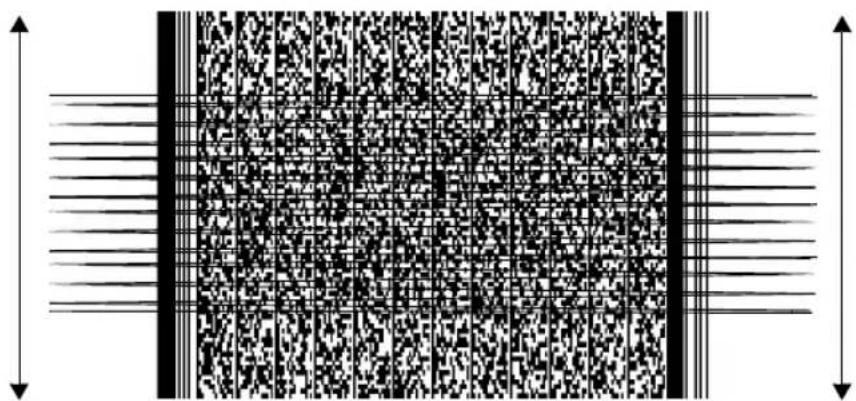 ZEBRA Cyclone M2004 - Scanning 1D (and RSS) or 2D Bar Codes - 2