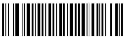 ZEBRA Cyclone M2004 - Code 11 - 1