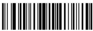 ZEBRA Cyclone M2004 - Send ALT Characters - 2