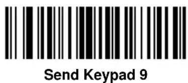 ZEBRA Cyclone M2004 - Send Keypad Characters - 6