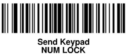 ZEBRA Cyclone M2004 - Send Keypad Characters - 8