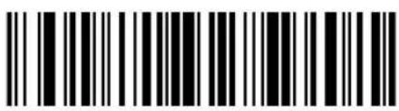 ZEBRA Cyclone M2004 - Control Characters - 30