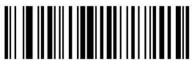 ZEBRA Cyclone M2004 - Send Data - 19