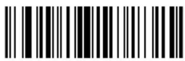 ZEBRA Cyclone M2004 - Control Characters - 7