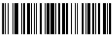 ZEBRA Cyclone M2004 - Keyboard Characters - 90