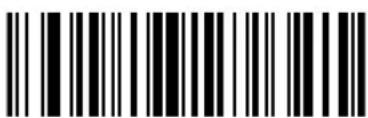 ZEBRA Cyclone M2004 - Keyboard Characters - 92