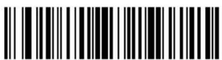 ZEBRA Cyclone M2004 - Send Data - 17