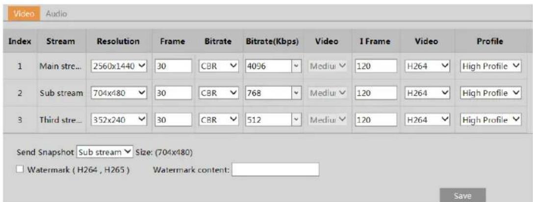 Speco Technologies O4VB2G - Video / Audio Configuration - 1