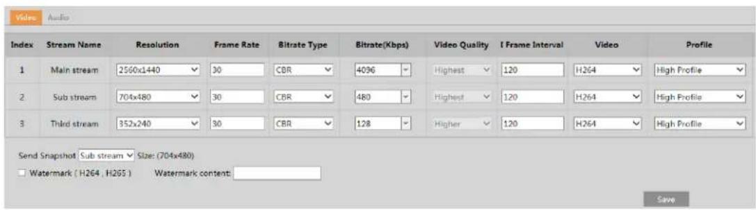 Speco Technologies O4iT2M - Video / Audio Configuration - 1