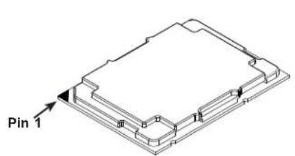 Supermicro SuperServer SSG-110P-NTR10 - The Processor Carrier Assembly - 1