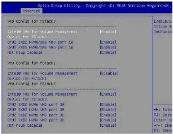 Supermicro SuperServer 2029BZ-HNR - F.2 Enabling NVMe RAID - 1