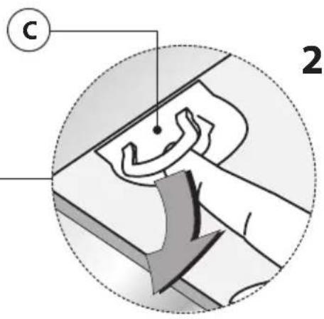 C 2