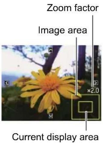 Pentacon Luxmedia 16-Z24S - Zooming an On-screen Image - 1