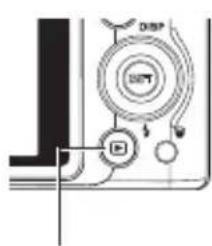 Pentacon Luxmedia 16-Z24S - Press [ ] (PLAY) to enter the PLAY mode. - 1