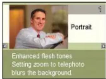 Pentacon Luxmedia 16-Z24S - •Using Scene Information Screen - 1