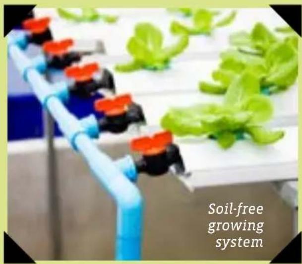 Thames & Kosmos Space Farm - CAN PLANTS GROW IN SPACE? - 2