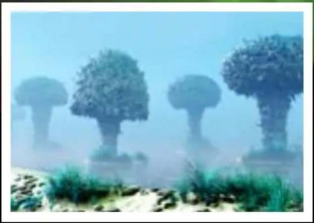 Thames & Kosmos Space Farm - PLANTS IN SPACE - 1