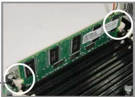 ASUS AP1700 - Installing a DIMM - 3