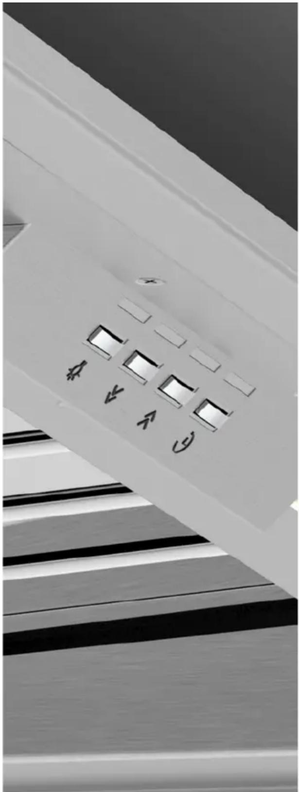 Whispair Chicago X7C12S - whispair - 1