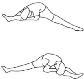 Stamina Avari E090 - Lower Body Stretch - 1