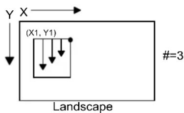 BROTHER HL-2240R - Y
(X1, Y1)
#=3
Portrait
end-of-line wrap 13

entity error code 114

entity status 108

entity status response 110

envelope 15

environment 14

error response
memory .... 115

Esc....12

escape....11

escape sequence 12 - 1