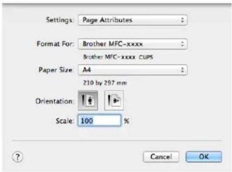 BROTHER MFC-1810R - Choosing page setup options - 1