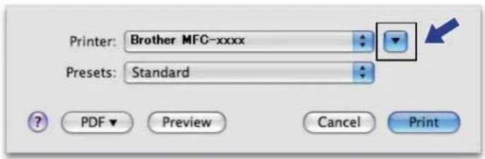 BROTHER MFC-1810R - Choosing page setup options - 3