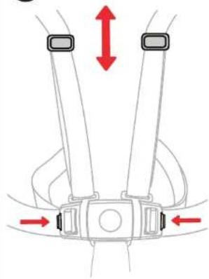 CHICCO Stack Hi-Lo - Adjusting Safety Harness - 1