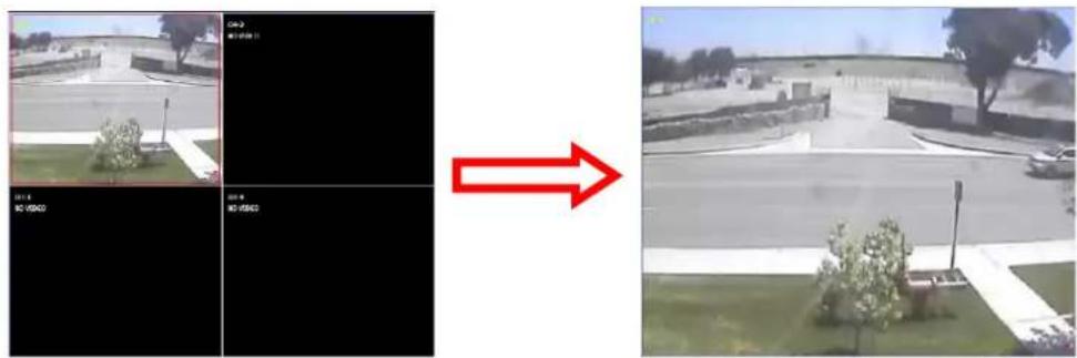 Speco Technologies ZIPTWP471 - 7-8-3. Still-image Capture During Live - 1