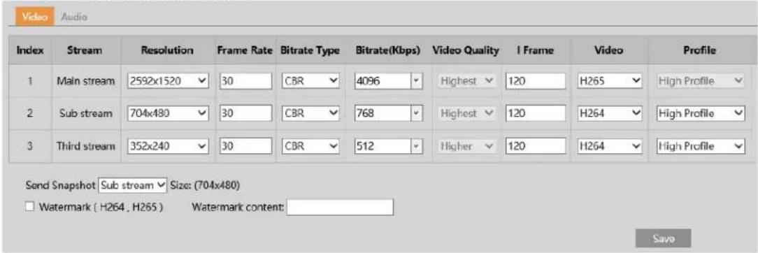 Speco Technologies O4BM - Video / Audio Configuration - 1