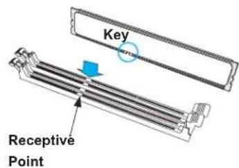 Key Receptive Point