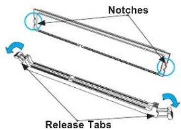 Notches Release Tabs