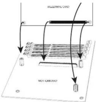 MOZZANING CARD MOZZ LRRUARD