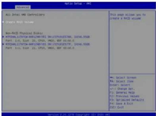 Supermicro SuperServer SYS-211GT-HNC8R - Enabling NVMe RAID - 7