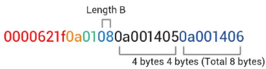 Black Box ACR1000A-CTL-192 - APPENDIX H - USING DHCP OPTION 125 - 1