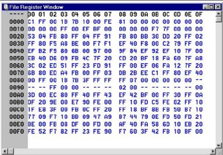 Microchip PIC18F2585 - File Registers Window Display Modes - 1