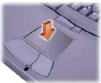 DELL Precision M40 - Using the Touch Pad - 1
