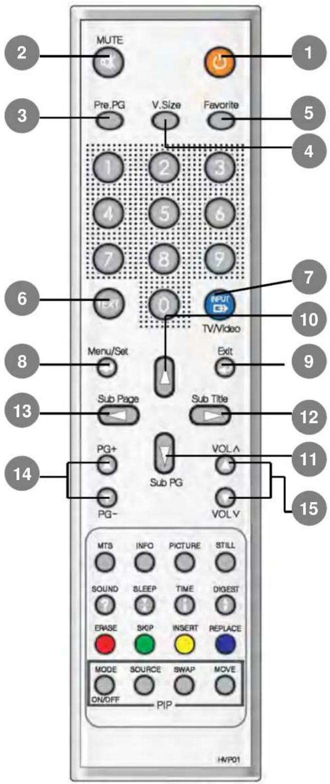 H&B PL-5500V - Viewing the Remote Control - 2