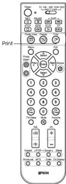 EPSON Livingstation LS57P1 - Note - 3