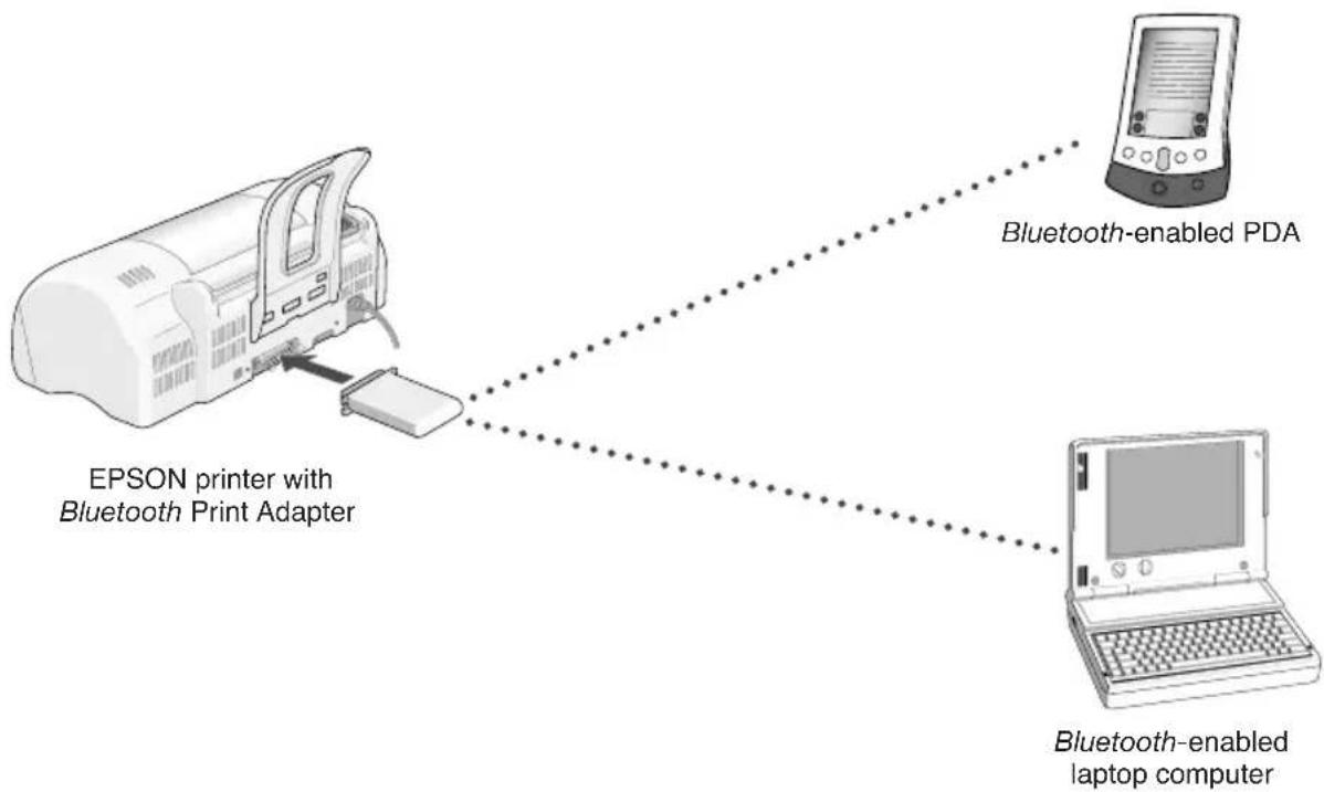 EPSON C1200BT - Welcome! - 1