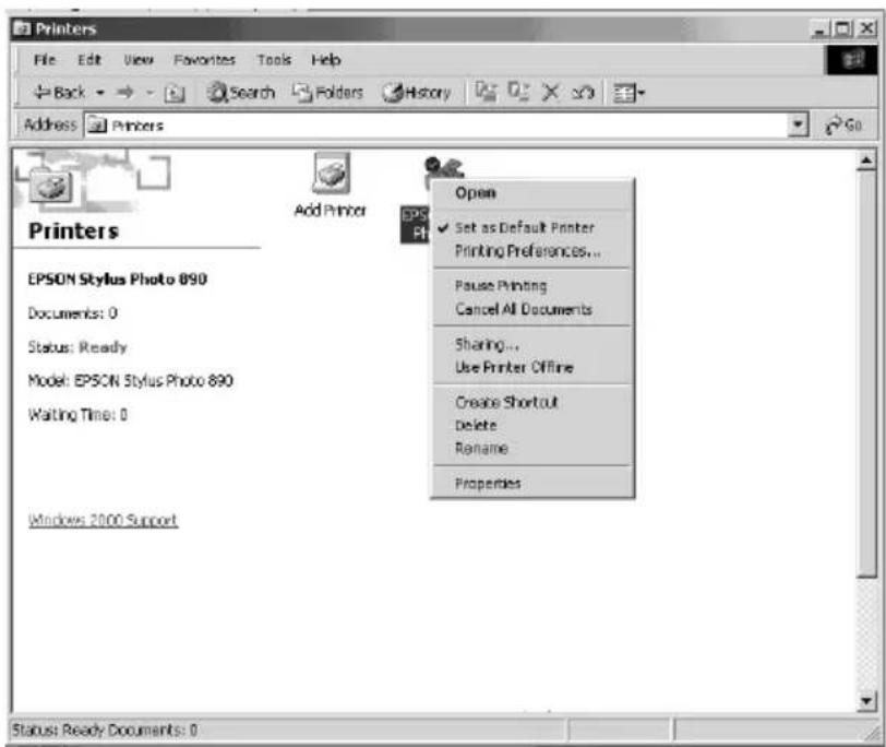 EPSON C1200BT - Configuring the Printer Driver - 1