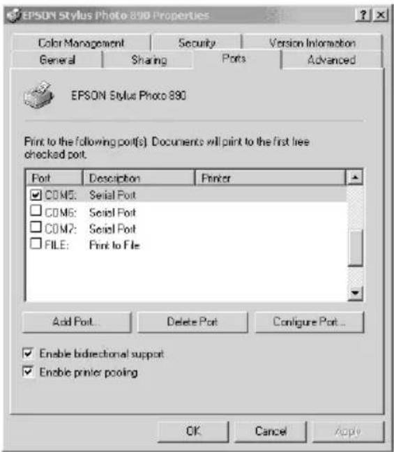 EPSON C1200BT - Configuring the Printer Driver - 2