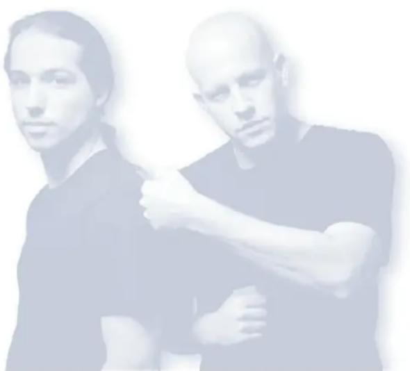 Polyverse Infected Mushroom I Wish - Introduction - 1