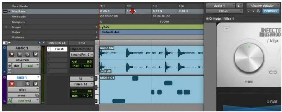 Polyverse Infected Mushroom I Wish - Pro Tools - 3