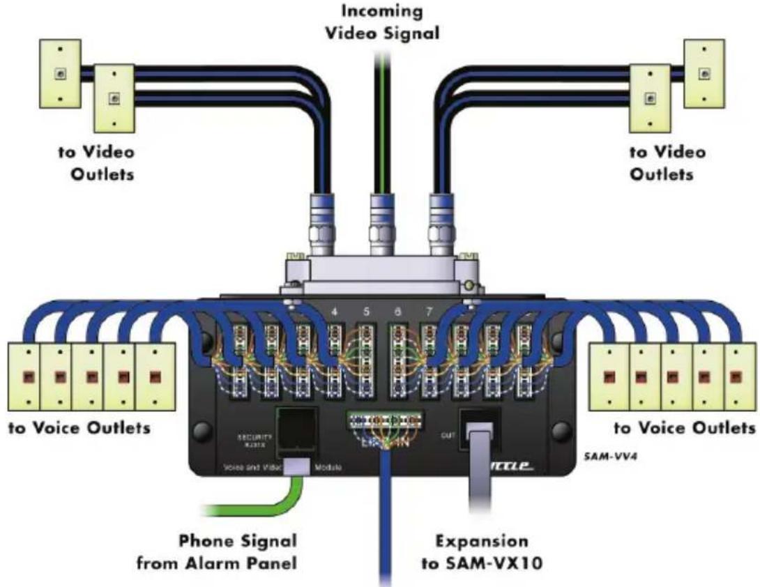 Suttle SAMVVH4 - Terminate premise wiring: - 1
