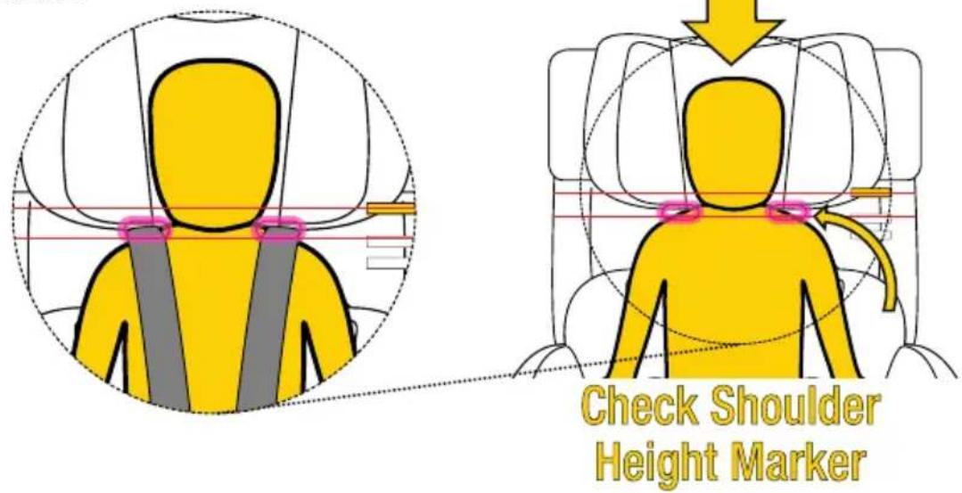 InfaSecure Momentum Onyx - Headrest Position - 1