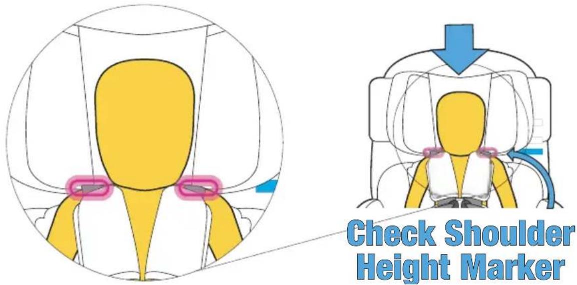 InfaSecure Momentum Onyx - Headrest Position - 1