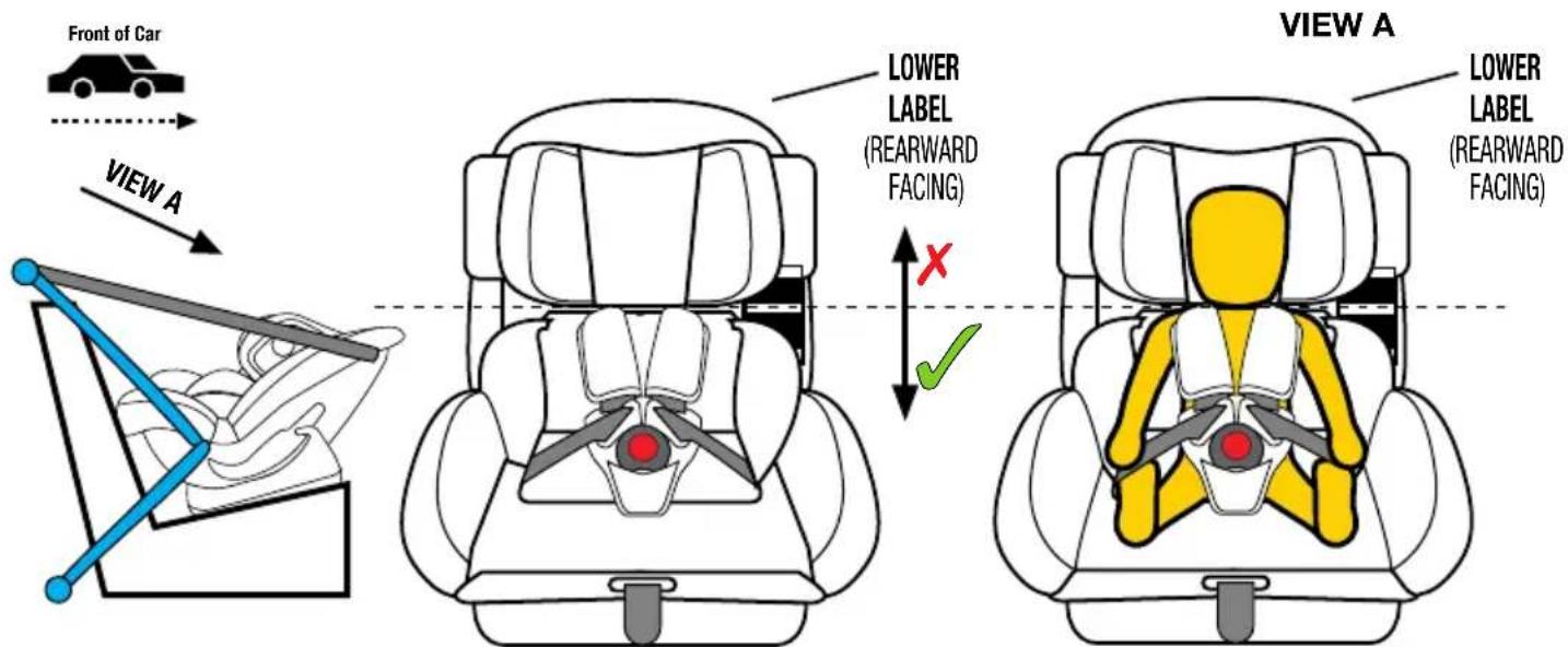 InfaSecure Momentum Onyx - Infant (Rearward Facing Mode) - 1