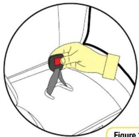 InfaSecure Momentum Onyx - Buckle Height Adjustment - 5